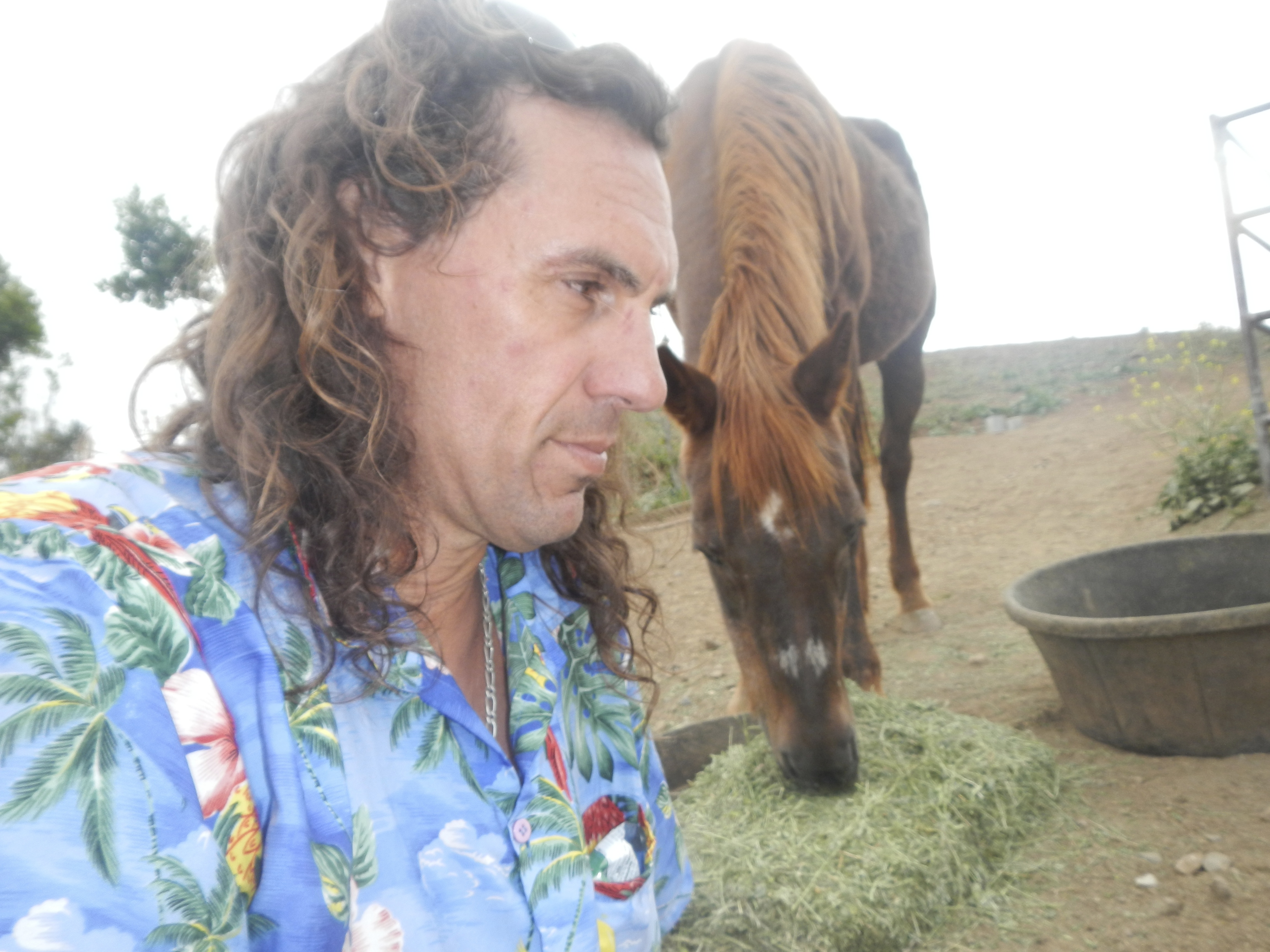 Comment on this gallery