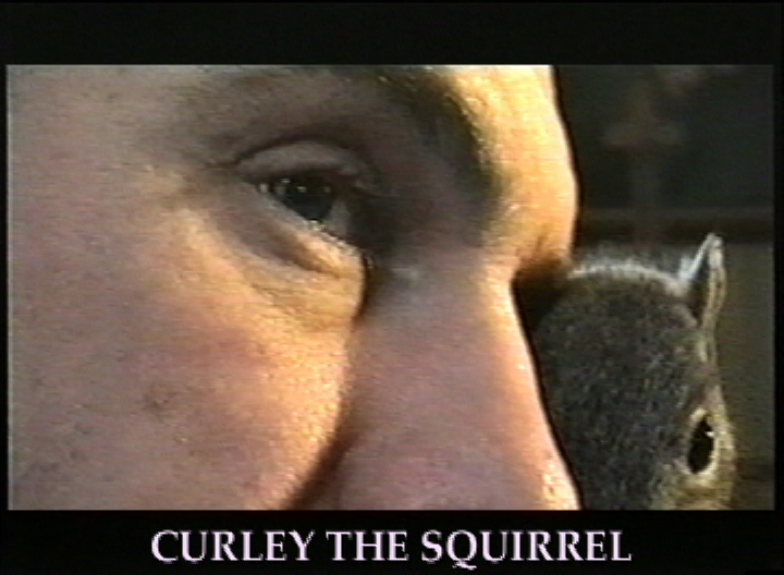 Clip Curley The Squirrel